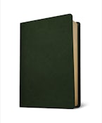 Baylor Annotated Study Bible